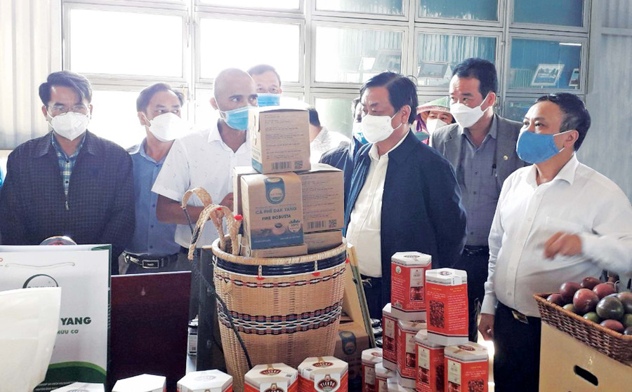 Bộ trưởng Bộ Nông nghiệp và PTNT Lê Minh Hoan (thứ 3 từ phải sang) thăm Hợp tác xã nông nghiệp và dịch vụ Nam Yang (huyện Đak Đoa). Ảnh: N.D