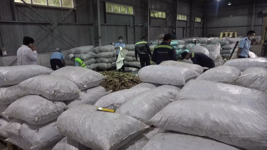 Lực lượng chức năng mất 2 ngày kiểm đếm số tang vật. Ảnh: Nguyễn Tú