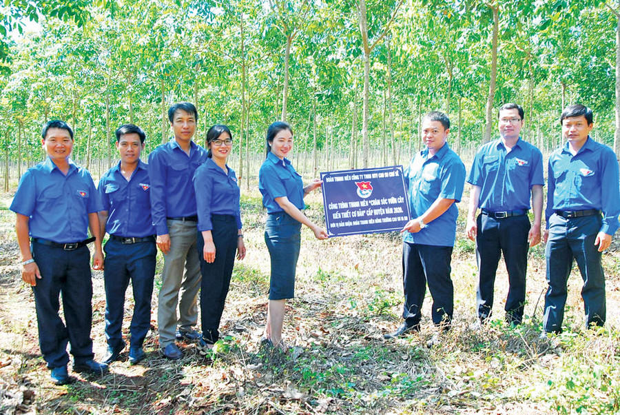 Công trình chăm sóc vườn cây kiến thiết cơ bản của đoàn viên thanh niên Công ty Cao su Chư Sê. Ảnh: P.V Công trình chăm sóc vườn cây kiến thiết cơ bản của đoàn viên thanh niên Công ty Cao su Chư Sê. Ảnh: P.V