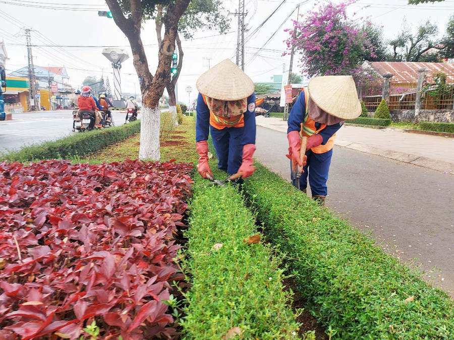 Công nhân Ban Quản lý công trình đô thị và vệ sinh môi trường huyện Chư Sê cắt tỉa cây cối làm đẹp các tuyến đường. Ảnh: Thiên Di