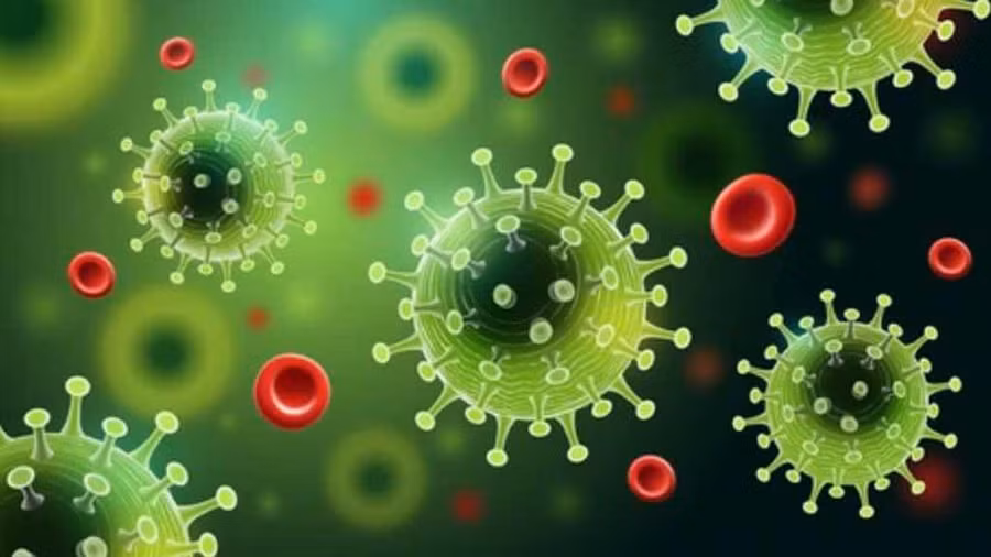 Những lỗi dễ mắc phải khi dịch đã hạ nhiệt khiến bạn dễ gặp nguy hiểm với Covid-19 hơn. Ảnh: Shutterstock