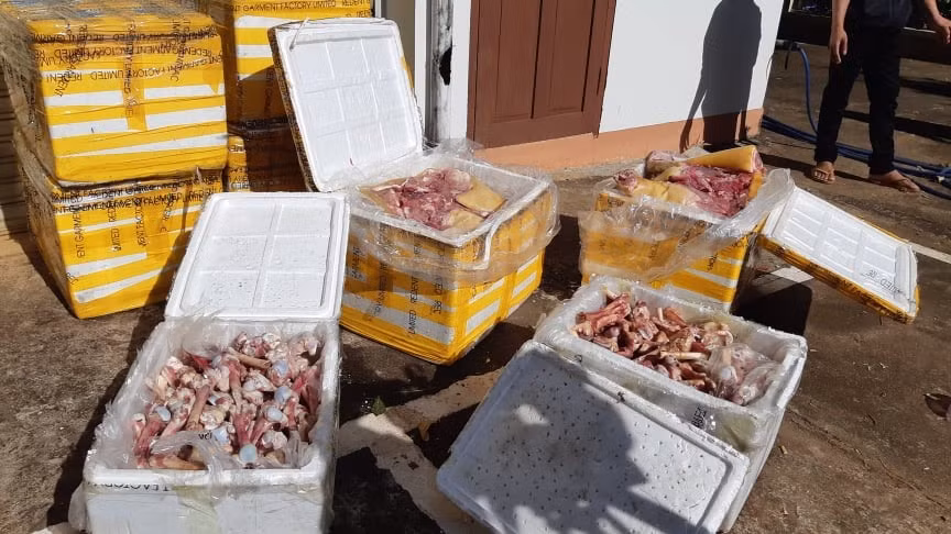 Lô thị lợn, tuỷ dê đã bốc mùi hôi thối. Ảnh: B.T