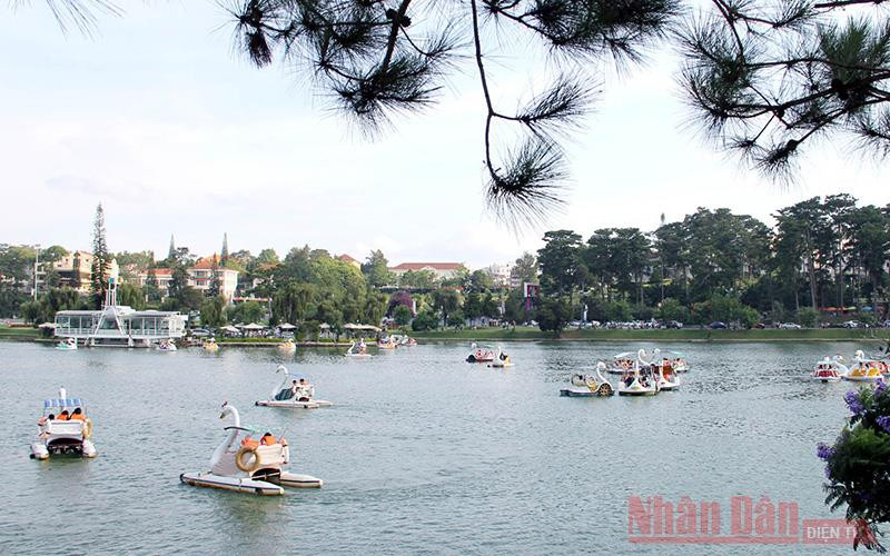 Dịch vụ xe đạp nước trên hồ Xuân Hương - Đà Lạt hấp dẫn du khách.