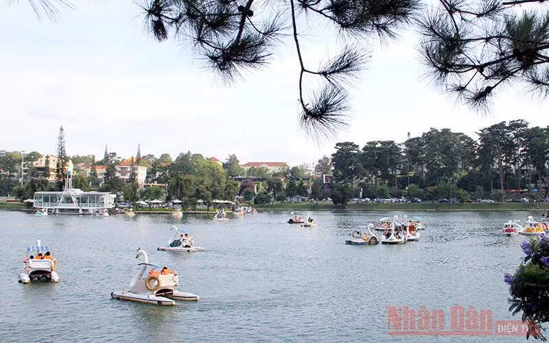 Dịch vụ xe đạp nước trên hồ Xuân Hương - Đà Lạt hấp dẫn du khách.