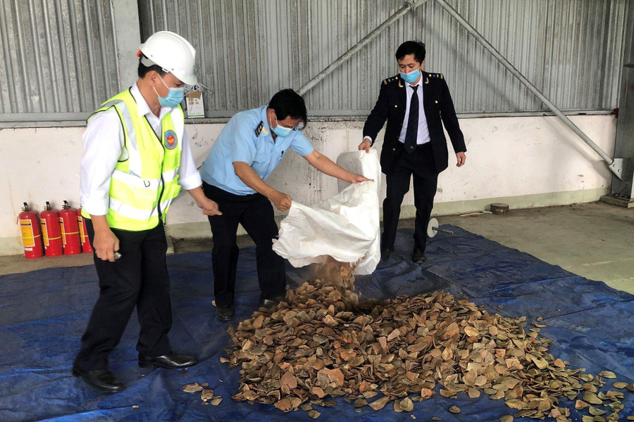 Chi cục Hải quan cửa khẩu cảng Đà Nẵng (Cục Hải quan Đà Nẵng) là đơn vị chủ trì khám xét. Ảnh: Nguyễn Tú