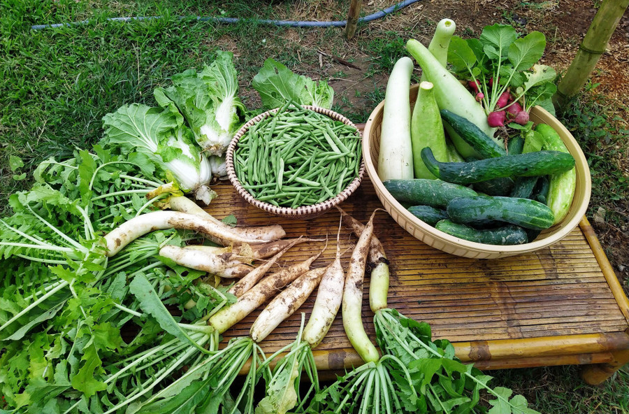 Các sản phẩm sạch thuần tự nhiên tại nông trại Rơm Vàng Farm