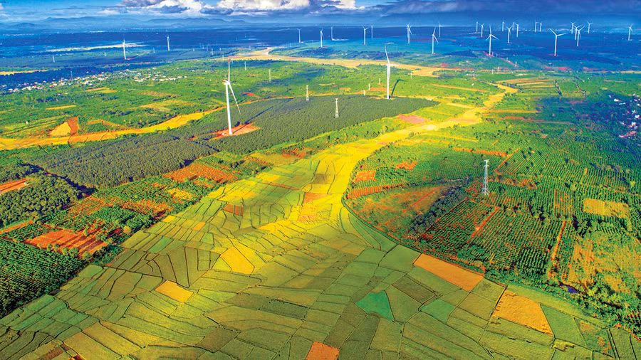 Cánh đồng điện gió xã Ia Pết (huyện Đak Đoa). Ảnh: Hùng Hoa Lư