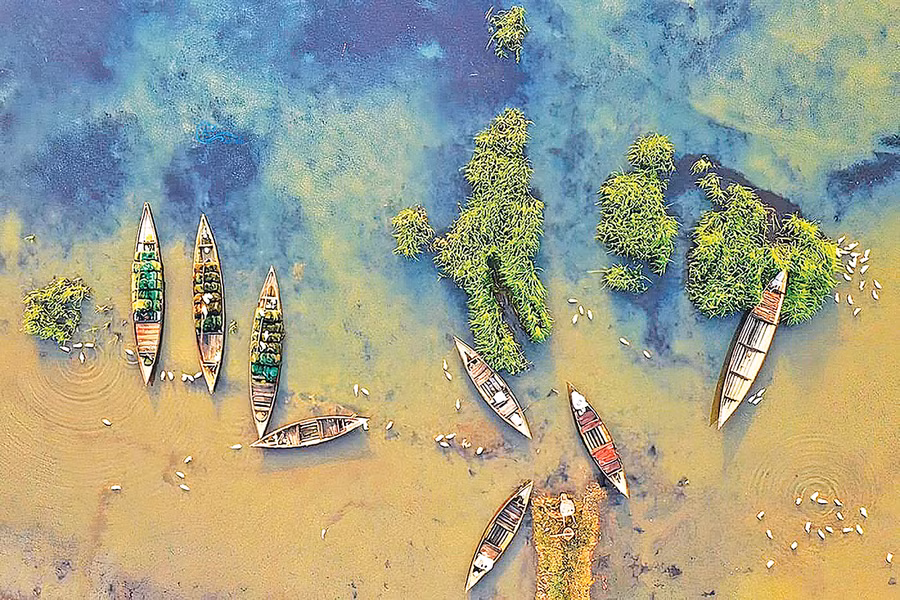  Đầm Trà Ổ (huyện Phù Mỹ, tỉnh Bình Định). Ảnh: Minh Tùng