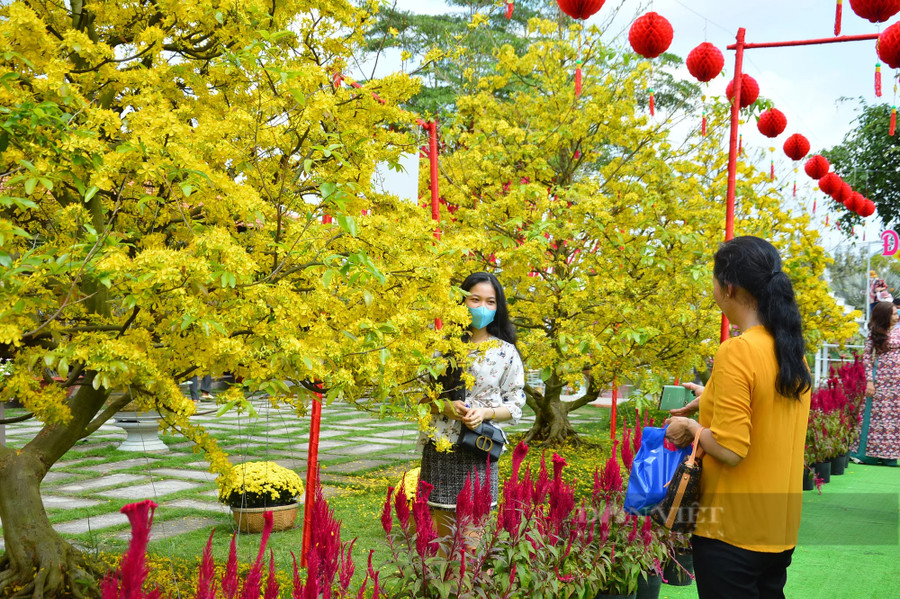 Du khách từ các nơi đến tham quan chụp ảnh. Ảnh: Tính Lập Du khách từ các nơi đến tham quan chụp ảnh. Ảnh: Tính Lập