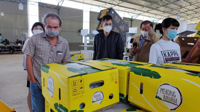 Chuối đóng gói xuất khẩu của HAGL Chuối đóng gói xuất khẩu của HAGL