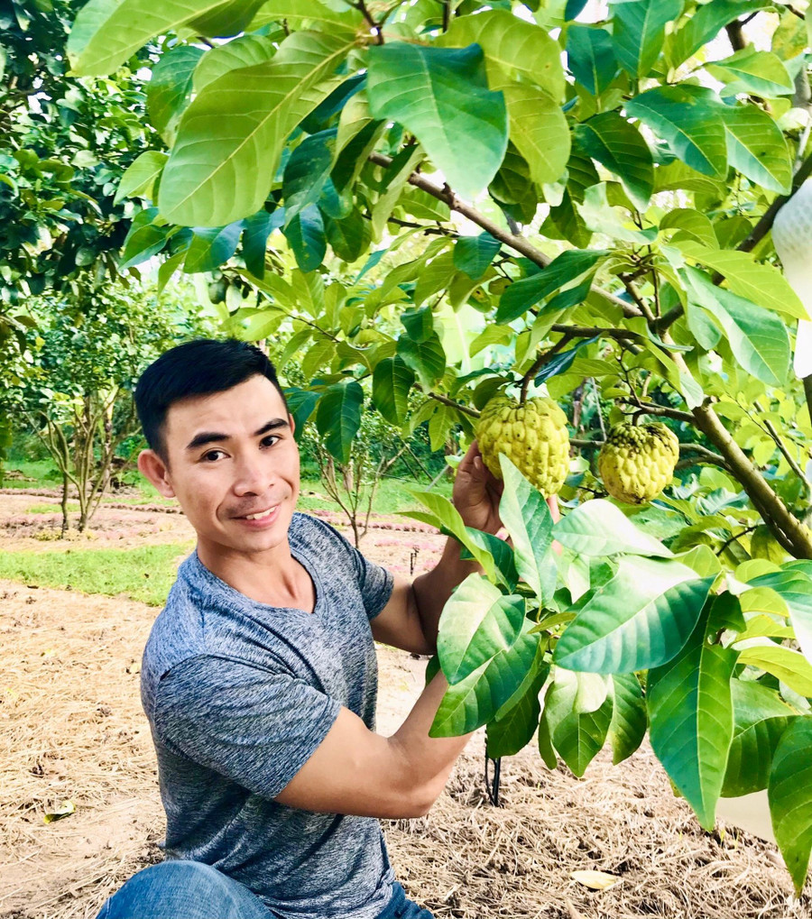 Anh Trầm bên vườn cây ăn trái cho năng suất cao. Ảnh: Dương Trí