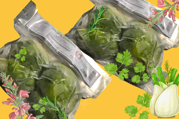 Quả bơ đông lạnh. Ảnh: Diệu Linh/Vietnam+