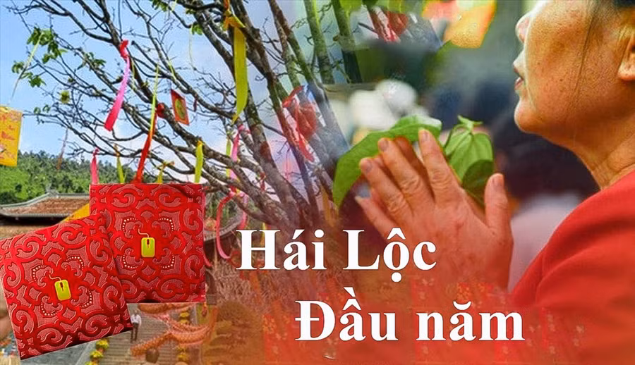  Hái lộc đầu năm là một trong những việc làm quen thuộc của nhiều người dân dịp đầu năm. Ảnh: ST