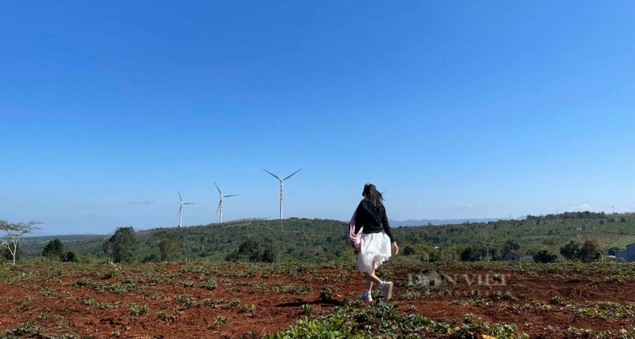 Đồi nương rộng thênh thang nhà chú mình tại thị trấn Eahleo, Đăk Lăk. Nơi đây bầu trời xanh ngắt như biển. Ảnh: Nhật Hà