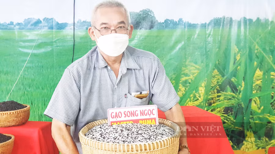 Người dân giới thiệu gạo Song Ngọc tại gian hàng trưng bày. (Ảnh: Huỳnh Xây) Người dân giới thiệu gạo Song Ngọc tại gian hàng trưng bày. (Ảnh: Huỳnh Xây)