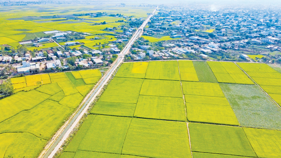 Không gian nông nghiệp huyện Phú Thiện được ví như một tiểu đồng bằng trên Tây Nguyên. Ảnh: Hoàng Ngọc