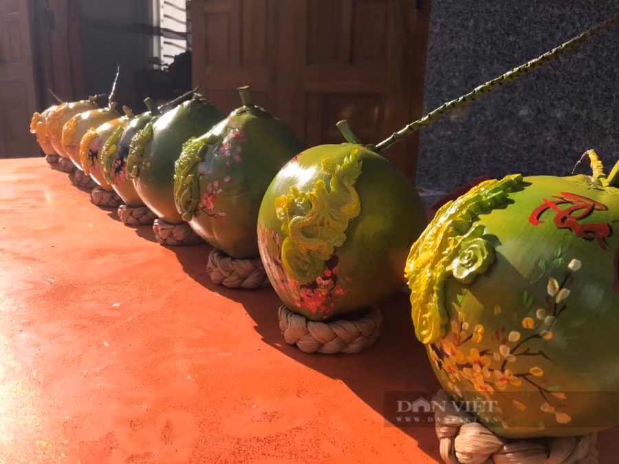  Những quả dừa của gia đình anh Nguyễn Hữu Cung Tiến được thị trường trong và ngoài tỉnh ưa chuộng vào những Ngày Tết. Ảnh: C.T