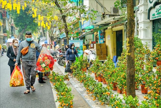 Chợ hoa Hàng Lược ngày đầu hoạt động.