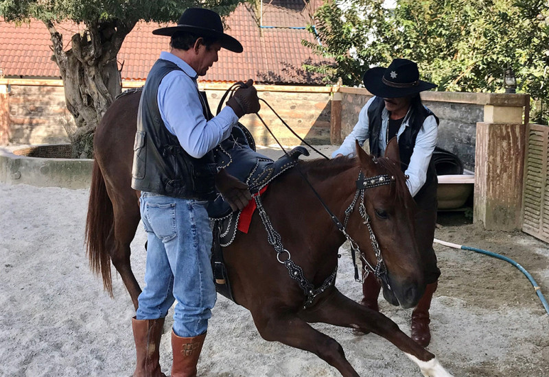 Thắng yên lên lưng ngựa