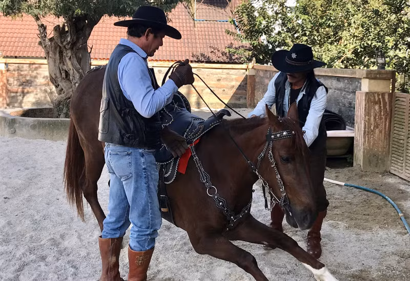 Thắng yên lên lưng ngựa