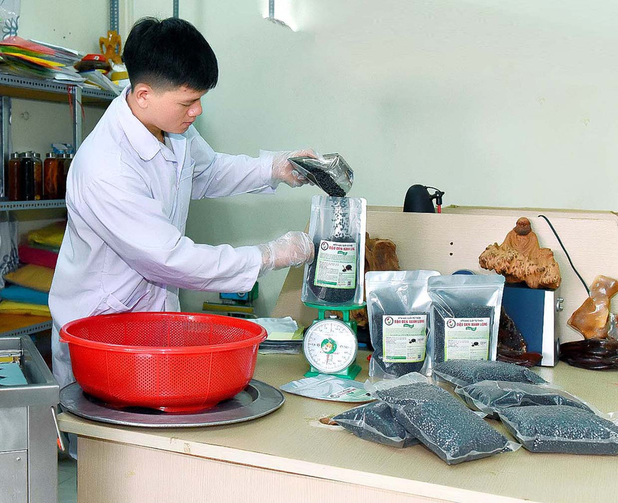 Sản phẩm đậu đen xanh lòng của HTX Hạc giấy từ thiện (huyện Chư Pưh) đã được công nhận OCOP 3 sao cấp tỉnh năm 2020. Ảnh: Đức Thụy 4 Sản phẩm đậu đen xanh lòng của HTX Hạc giấy từ thiện huyện Chư Pưh đã được công nhận OCOP 3 sao cấp tỉnh năm 2020. Ảnh Đức Thụy.jpg