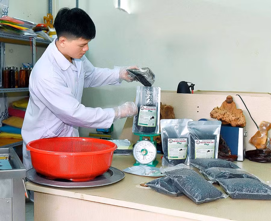 4 Sản phẩm đậu đen xanh lòng của HTX Hạc giấy từ thiện huyện Chư Pưh đã được công nhận OCOP 3 sao cấp tỉnh năm 2020. Ảnh Đức Thụy.jpg