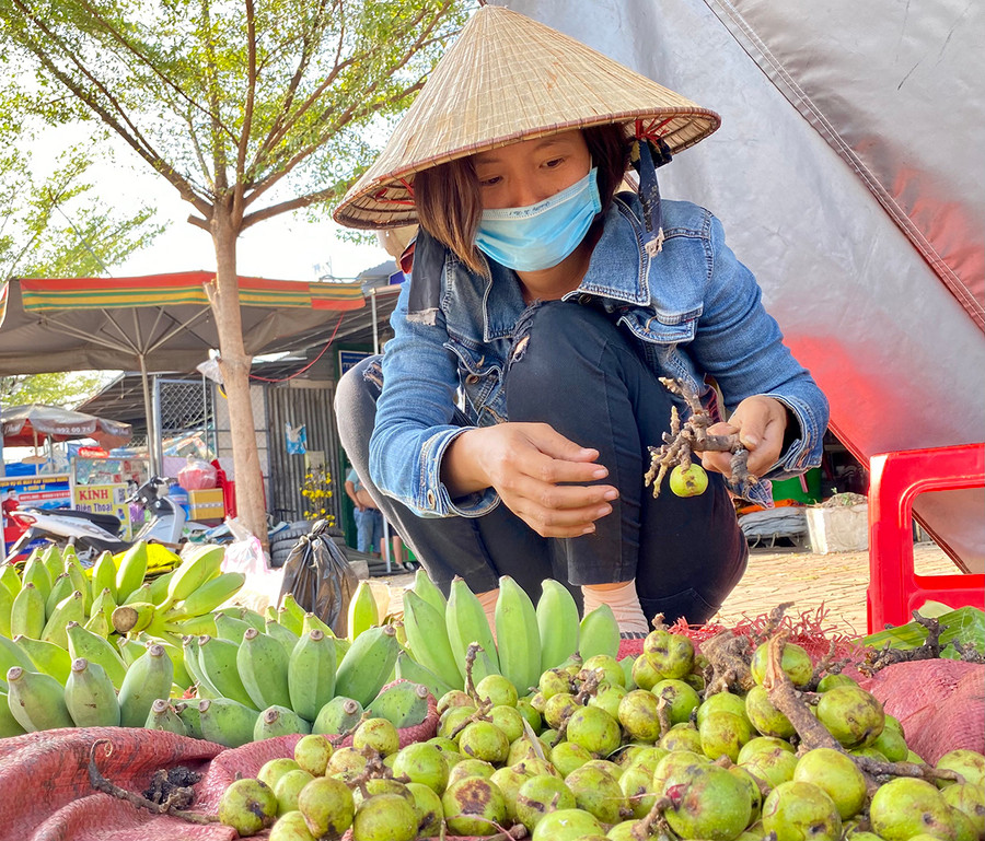 Nơi góc vỉa hè đường Nguyễn Huệ (thị trấn Kông Chro), chị Nguyễn Thị Ngọc (tổ 1, xã Ya Ma, huyện Kông Chro) đang tranh thủ bán cho hết số quả sung và chuối để về đón Tết cùng gia đình. Ảnh: Mộc Trà Nơi góc vỉa hè đường Nguyễn Huệ (thị trấn Kông Chro), chị Nguyễn Thị Ngọc (tổ 1, xã Ya Ma, huyện Kông Chro) đang tranh thủ bán cho hết số quả sung và chuối để về đón Tết cùng gia đình. Ảnh: Mộc Trà