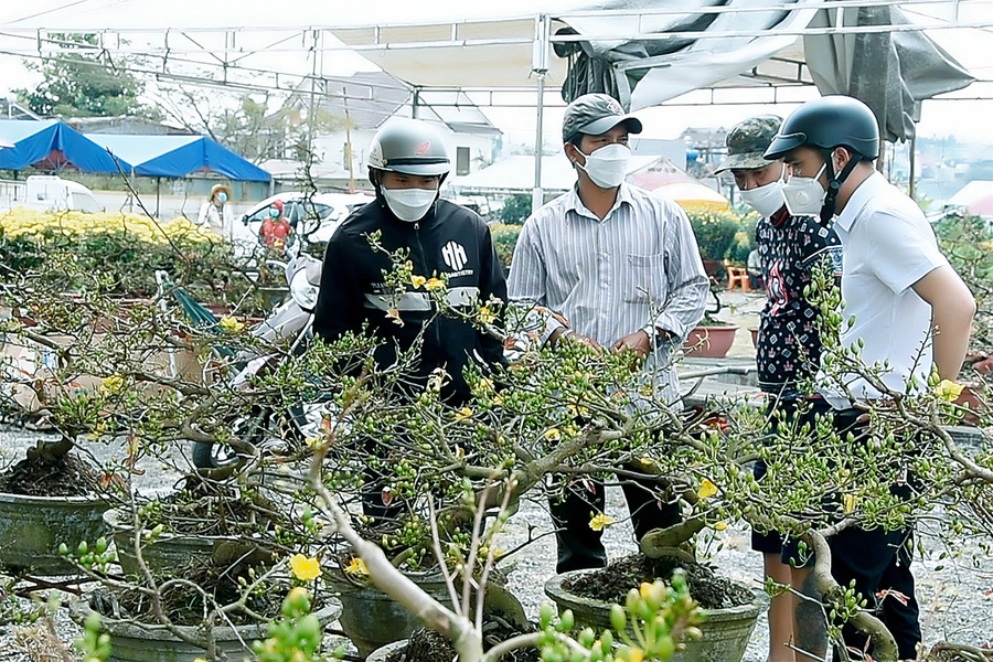  Người dân tham quan chợ hoa đường Hoàng Đạo Thúy (phường Tây Sơn, TP. Pleiku). Ảnh: Đức Thụy