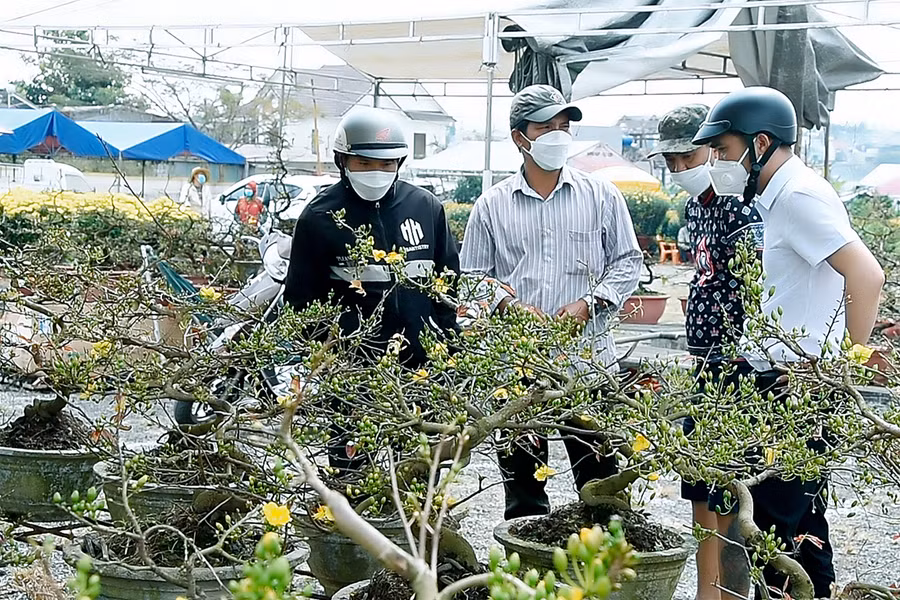Người dân tham quan chợ hoa đường Hoàng Đạo Thúy (phường Tây Sơn, TP. Pleiku). Ảnh: Đức Thụy Người dân tham quan chợ hoa đường Hoàng Đạo Thúy (phường Tây Sơn, TP. Pleiku). Ảnh: Đức Thụy