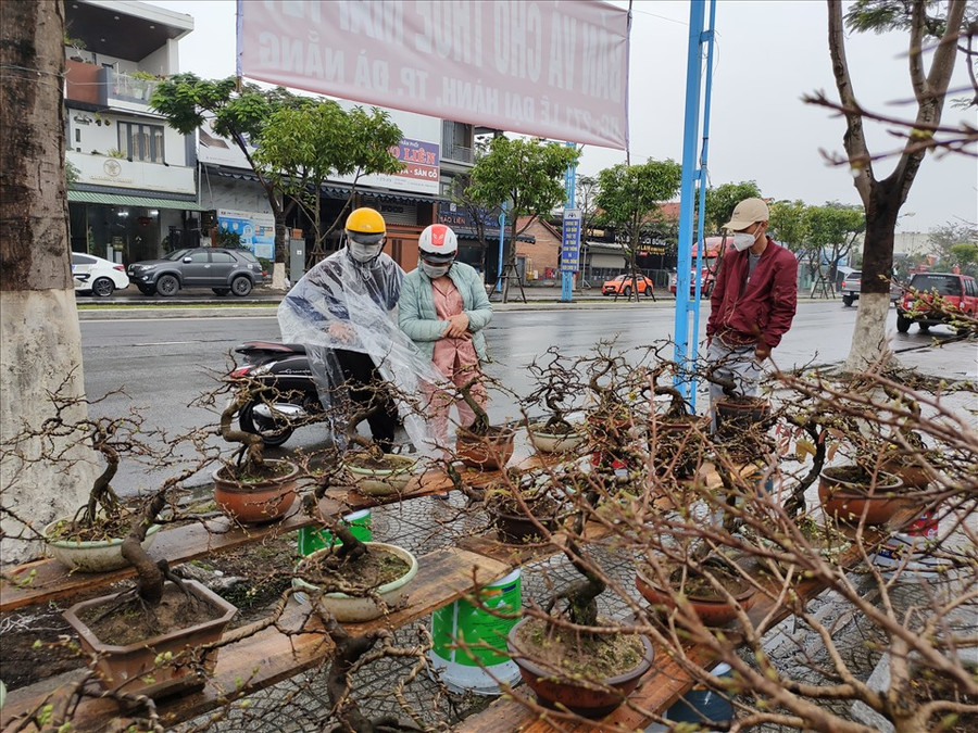 Thời điểm này, đa phần người dân đi hỏi thăm giá là chủ yếu chứ rất ít người mua.