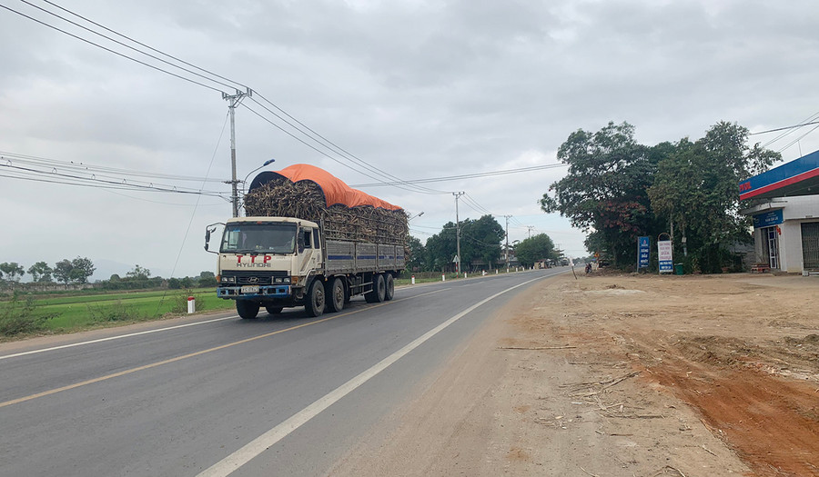 Xe chở mía quá khổ, quá tải di chuyển trên quốc lộ 25. Ảnh: Vũ Chi Xe chở mía quá khổ, quá tải di chuyển trên quốc lộ 25. Ảnh: Vũ Chi