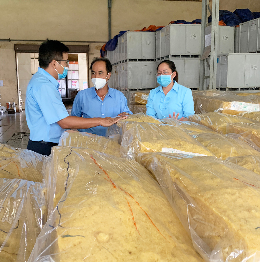 Sản phẩm mủ cao su sơ chế của Công ty TNHH một thành viên Cao su Chư Prông. Ảnh: Lương Quang Hiến Sản phẩm mủ cao su sơ chế của Công ty TNHH một thành viên Cao su Chư Prông. Ảnh: Lương Quang Hiến