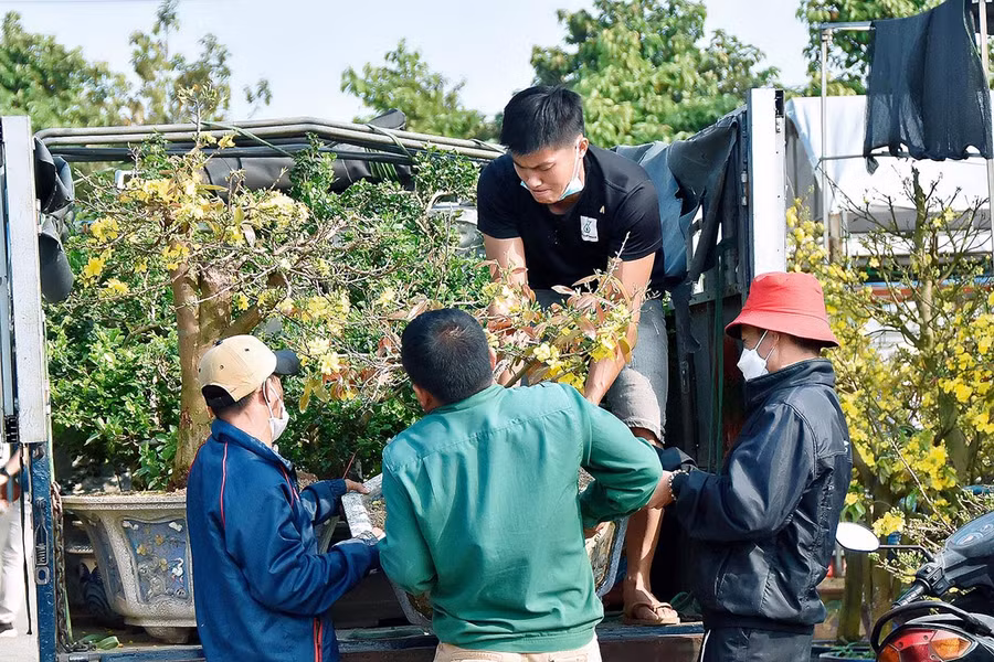 Không khí mua bán tại các chợ hoa ngày cuối năm cũng khá nhộn nhịp. Ảnh: Photo Tiến 