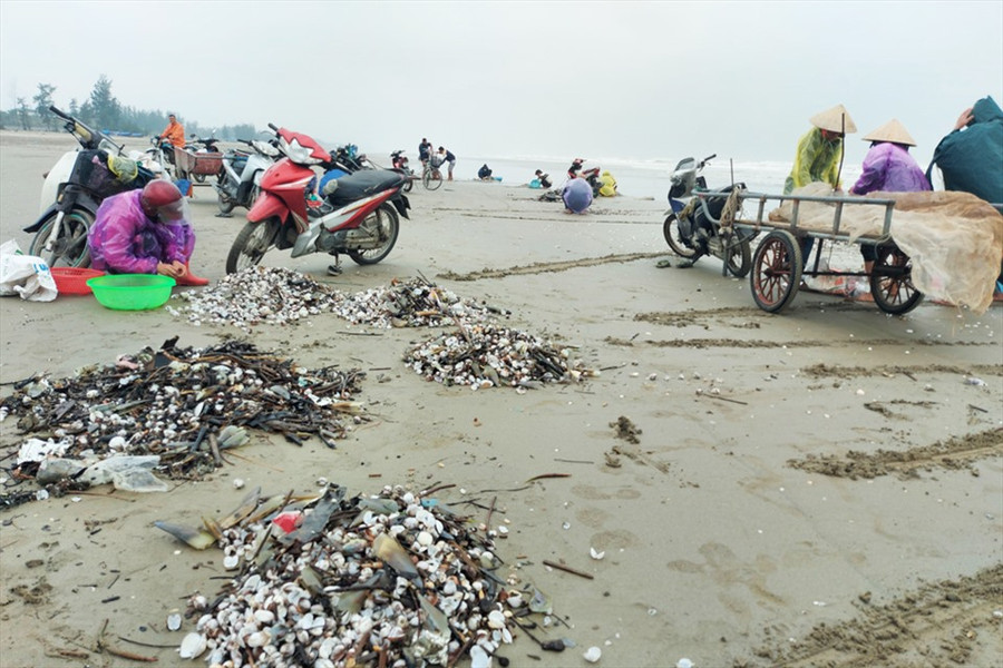 Mang theo cả xe kéo để chở hàng. Ảnh: TT