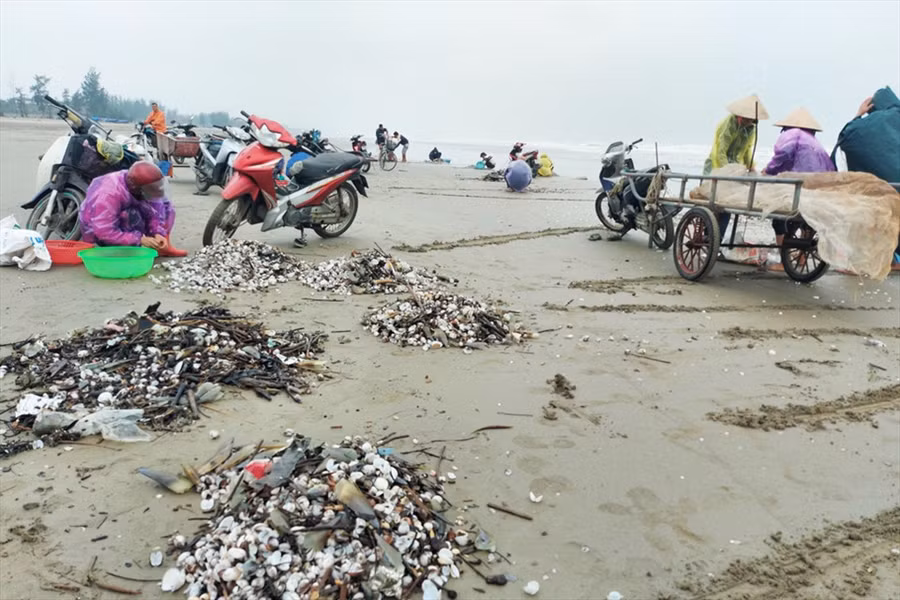 Mang theo cả xe kéo để chở hàng. Ảnh: TT