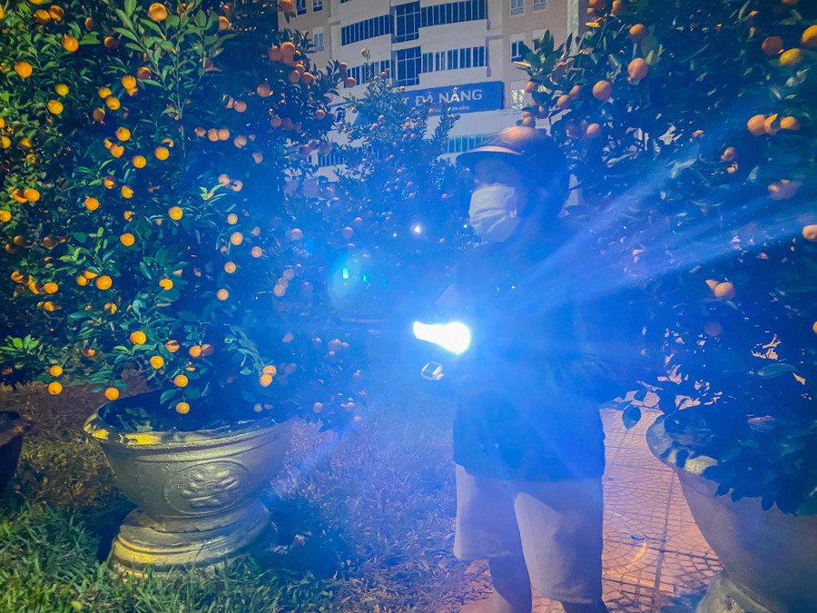 Khách hàng đến mua quất cảnh vào ban đêm kỹ lưỡng mang đèn pin để soi chọn lựa. Ảnh: Huy Đạt Khách hàng đến mua quất cảnh vào ban đêm kỹ lưỡng mang đèn pin để soi chọn lựa. Ảnh: Huy Đạt