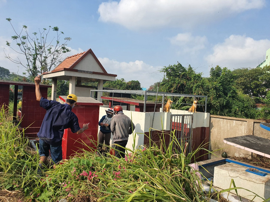 Con cháu cùng nhau tập trung phát quang cỏ, lau dọn phần mộ tổ tiên ông bà được sạch đẹp trước Tết Nguyên đán. Ảnh: Bảo Vy