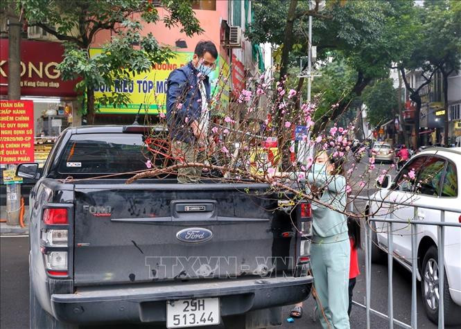 Một gia đình chọn cho mình cành đào ưng ý.