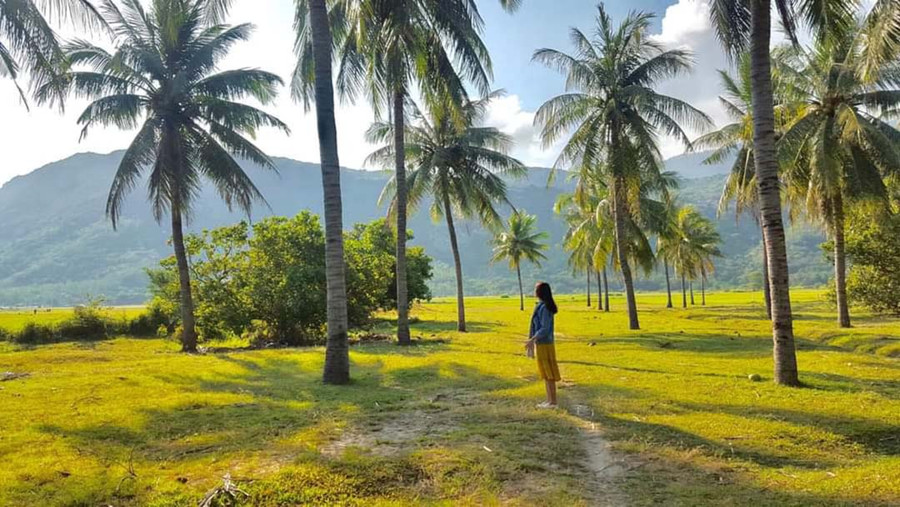 Cam Ranh đẹp ngút ngàn với rừng dừa. Ảnh Tranghoang com. Cam Ranh đẹp ngút ngàn với rừng dừa. Ảnh Tranghoang com.