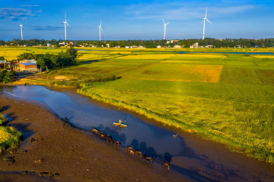 Cánh đồng điện gió Phương Mai ở Cát Tiến, nơi được nhiều bạn trẻ check in. Ảnh: Nguyễn Phước Hoài