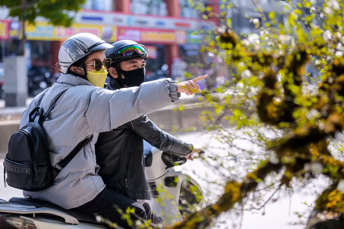 Một số người dân đi qua đều ghé lại chiêm ngưỡng. 