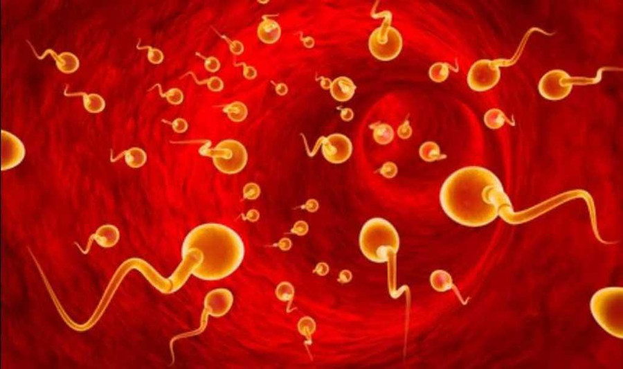 Mặc dù hầu hết đàn ông đều có thể có con ở độ tuổi 50 trở lên, nhưng việc có con dần trở nên khó khăn hơn từ sau tuổi 40. Ảnh: Shutterstock