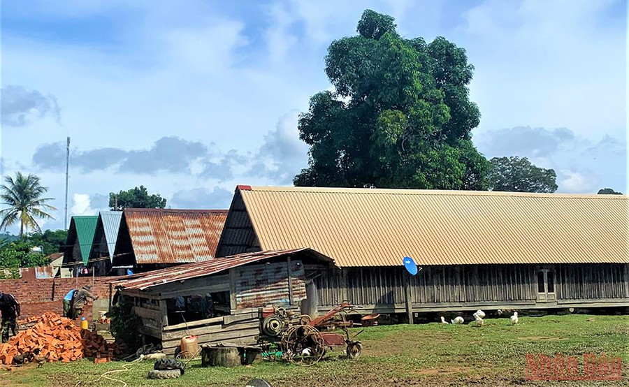 Nhiều ngôi nhà sàn truyền thống của đồng bào M’nông Rlăm dài hàng chục mét nằm san sát nhau tạo nét độc đáo, cổ kính cho buôn M’liêng mà ít buôn làng Tây Nguyên còn lưu giữ được.