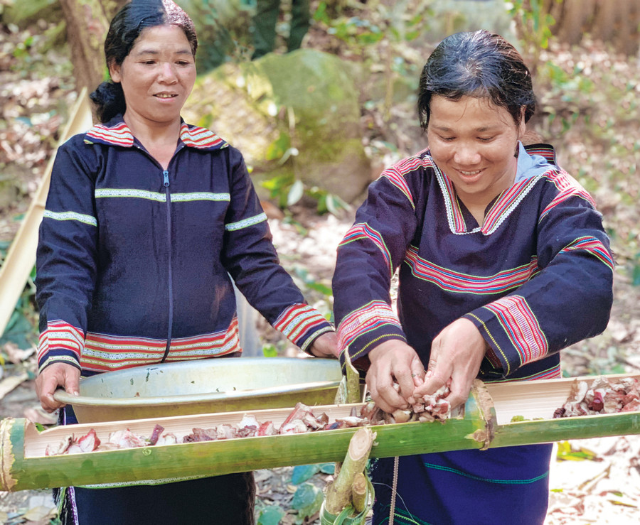 Chuẩn bị các món ăn để thực hiện nghi lễ cúng Thần Rừng. Ảnh: Hoàng Ngọc Chuẩn bị các món ăn để thực hiện nghi lễ cúng Thần Rừng. Ảnh: Hoàng Ngọc