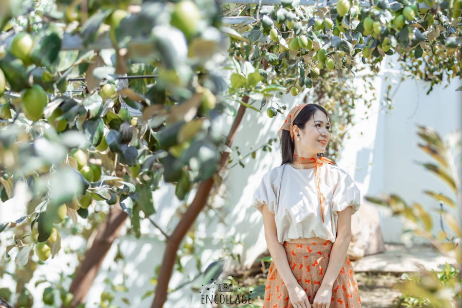 Cây táo để thành góc sống áo, cho ra đời những bức ảnh đẹp để khoe với mọi người trên mạng.