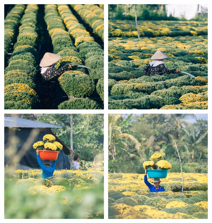 Typography là điểm đặc biệt trong những bộ ảnh “ngàn người mê” của Hoàng Minh. Ảnh: @HOANGMINH.DG