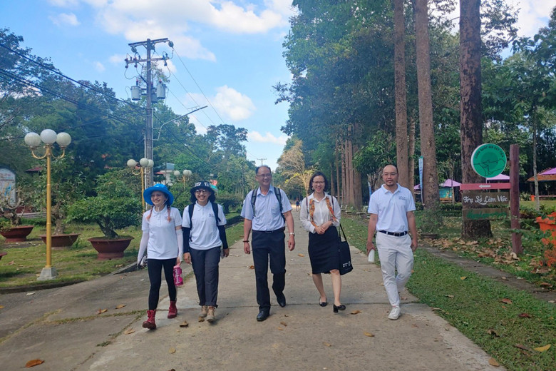 Đi bộ trong không gian thanh bình.