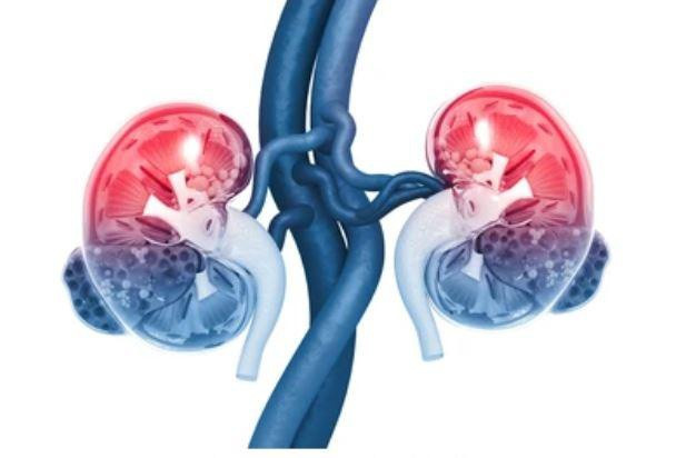 Giữ đủ nước sẽ giúp thận loại bỏ natri và chất độc ra khỏi cơ thể. Ảnh: Shutterstock