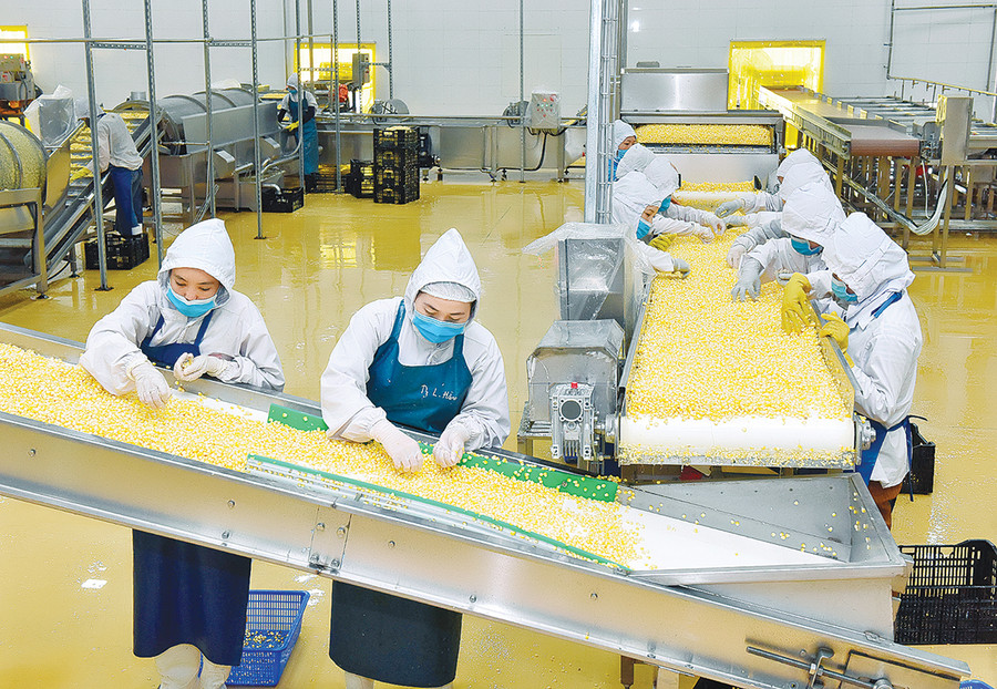 Nhà máy chế biến nước uống từ dược liệu của Công ty TNHH khoa học quốc tế Trường Sinh có công suất 6 triệu lít/năm. Ảnh: Kim Linh Nhà máy chế biến nước uống từ dược liệu của Công ty TNHH khoa học quốc tế Trường Sinh có công suất 6 triệu lít/năm. Ảnh: Kim Linh