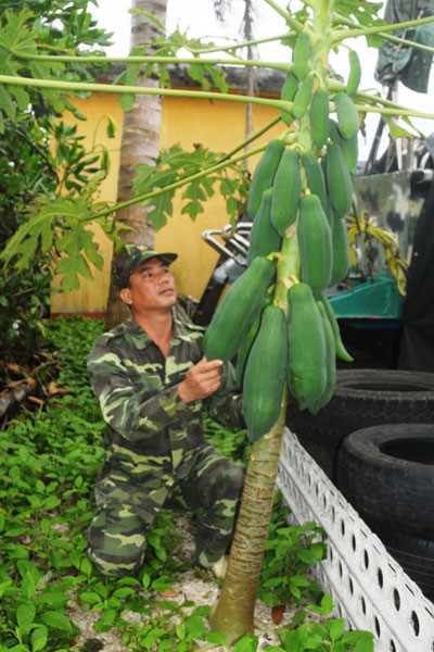 Tăng gia sản xuất trên đảo Phan Vinh. Ảnh: Trương Công Pháp Tăng gia sản xuất trên đảo Phan Vinh. Ảnh: Trương Công Pháp